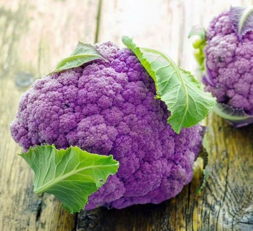 Cauliflower Purple Sicily